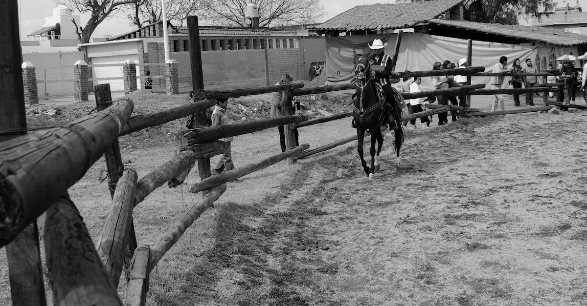Is Kalimdor Horde-Centric? - Grayscale Photo of Man Riding on a Horse