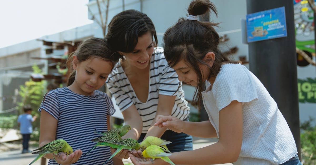 Is Kinect required for Zoo Tycoon? - Free stock photo of adult, aviary, bird