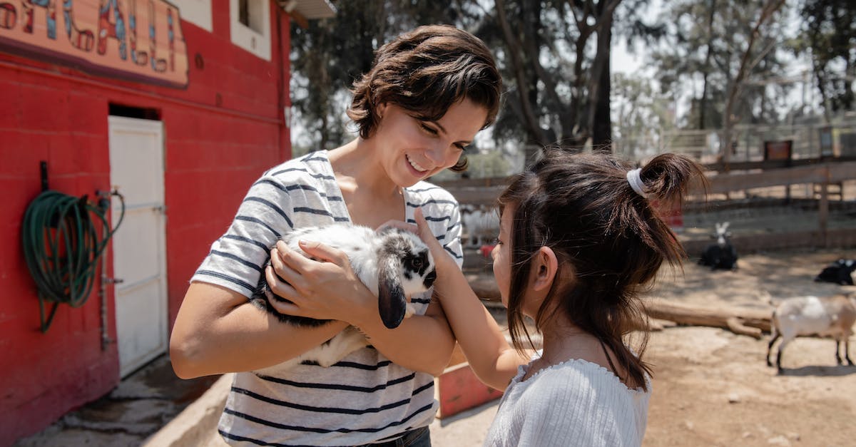 Is Kinect required for Zoo Tycoon? - Free stock photo of bunny, child, cute