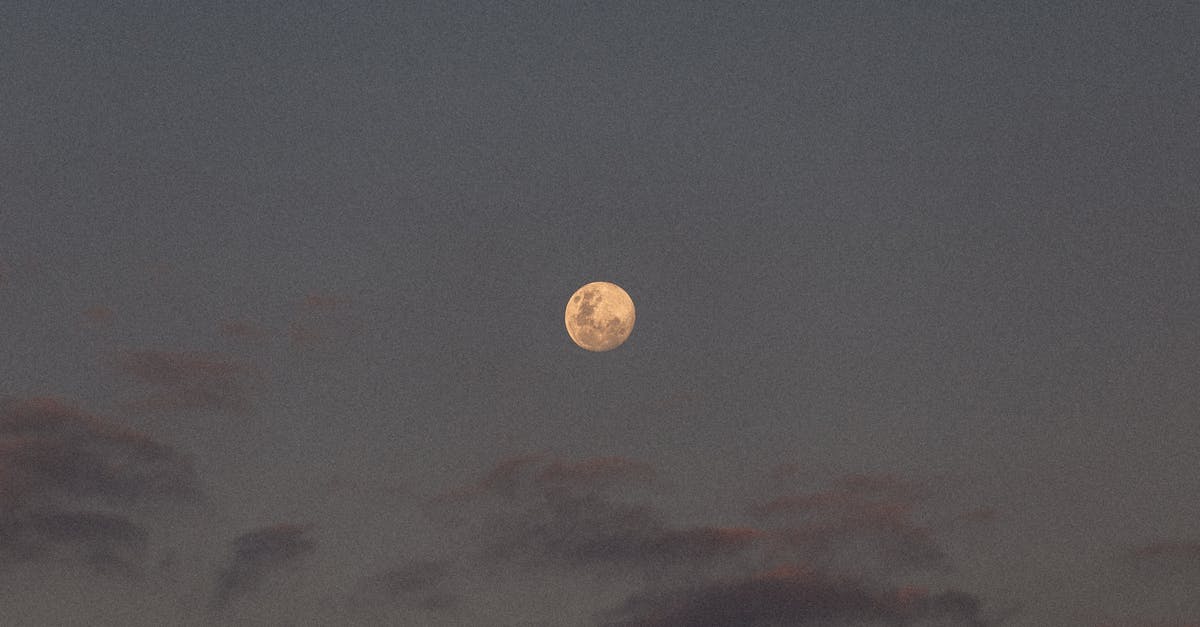 Is my Blood moon horde finished? - Free stock photo of blood moon, moon Is my Blood moon horde finished? - Free stock photo of blood moon, moon