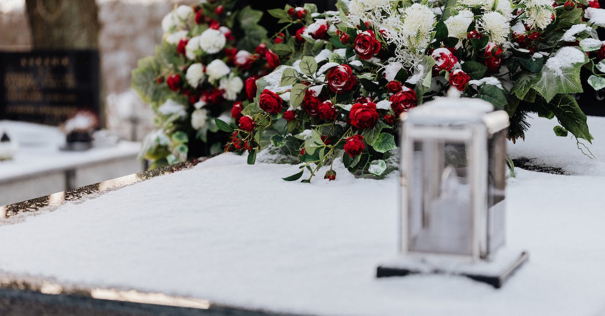Is NPC death permanent? - Red and Green Plant on White Wooden Table