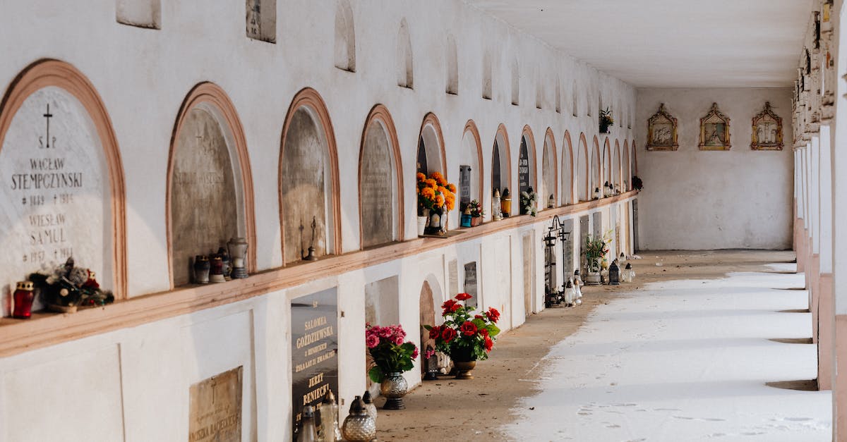 Is NPC death permanent? - Free stock photo of arch, architecture, art