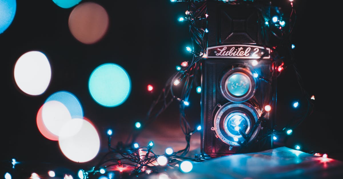 Is Ornifex required to complete dark souls 2? - Black and Grey Lubitel 2 Camera Covered With String Lights
