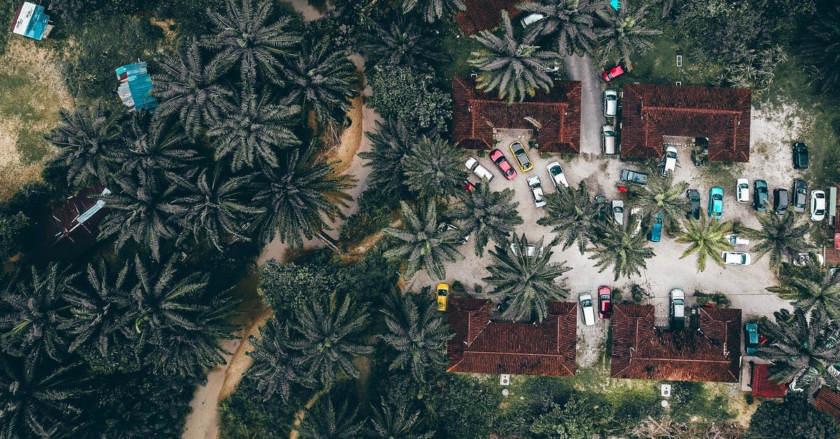 Is Porofessor a cheat in League Of Legends? [Jungle Timers reveal enemy jg location in non-vision?] - Drone view of similar villas with red roofs located on street with parked colorful cars surrounded by green palm trees in tropical country