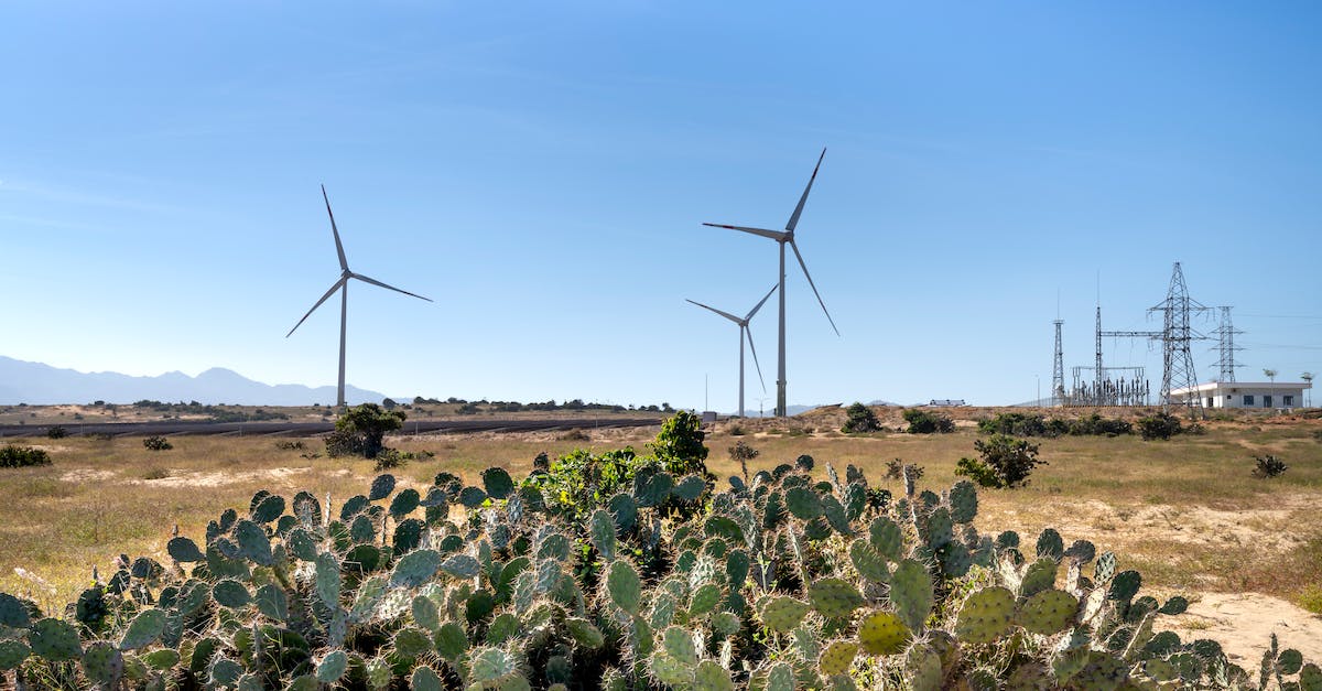 Is Pylon Expand a sustainable build? - Wind mills on land against cacti in countryside