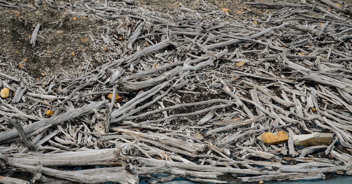 Is stealth bomber bomb damage uniform? - Free stock photo of glacier, trees Is stealth bomber bomb damage uniform? - Free stock photo of glacier, trees