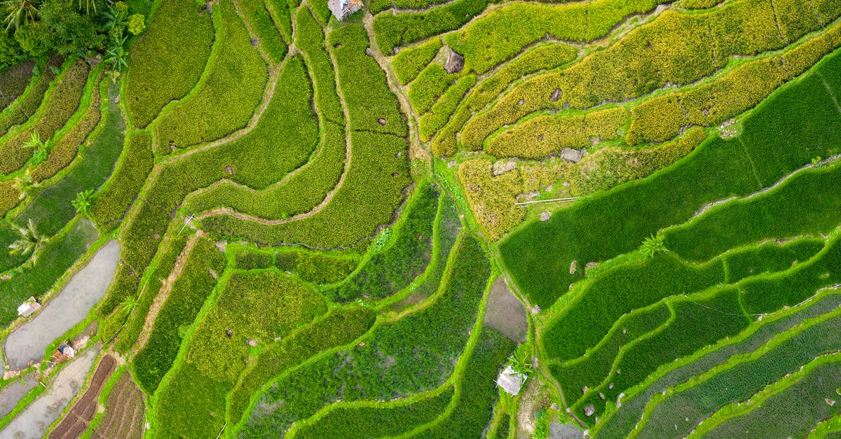 Is the area between Kessex Hills, Gendarran Fields and Lion's Arch reachable? - Aerial View Photography of Grass Field Is the area between Kessex Hills, Gendarran Fields and Lion's Arch reachable? - Aerial View Photography of Grass Field