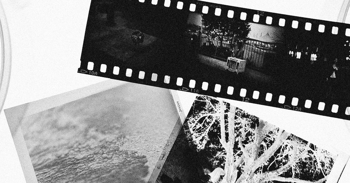Is the film trophy bugged? - Grayscale Photo of City Skyline Is the film trophy bugged? - Grayscale Photo of City Skyline
