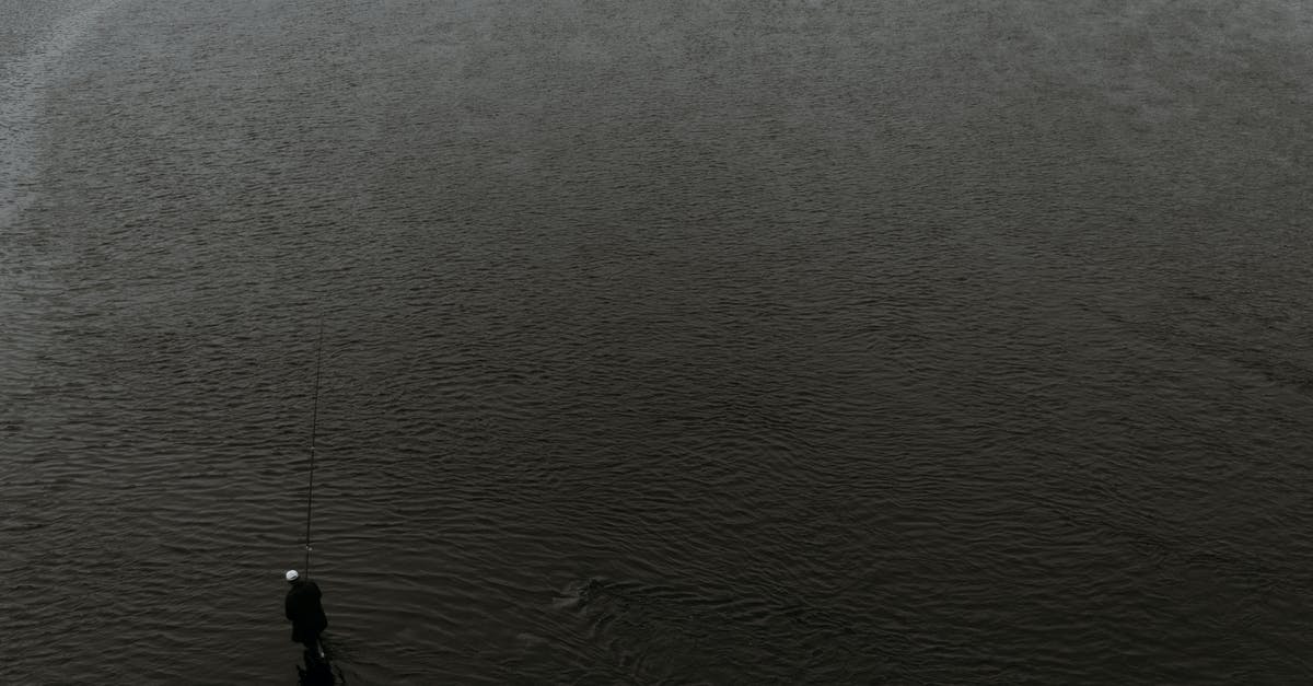 Is the fishing rod bobber/hook an entity? - Anonymous fisherman standing in water with fishing rod Is the fishing rod bobber/hook an entity? - Anonymous fisherman standing in water with fishing rod