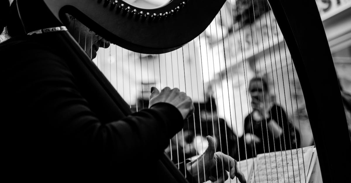Is the Goddess Harp from Skyward Sword the harp Sheik plays in OOT? - Grayscale Photo of Person Playing Arpa Is the Goddess Harp from Skyward Sword the harp Sheik plays in OOT? - Grayscale Photo of Person Playing Arpa