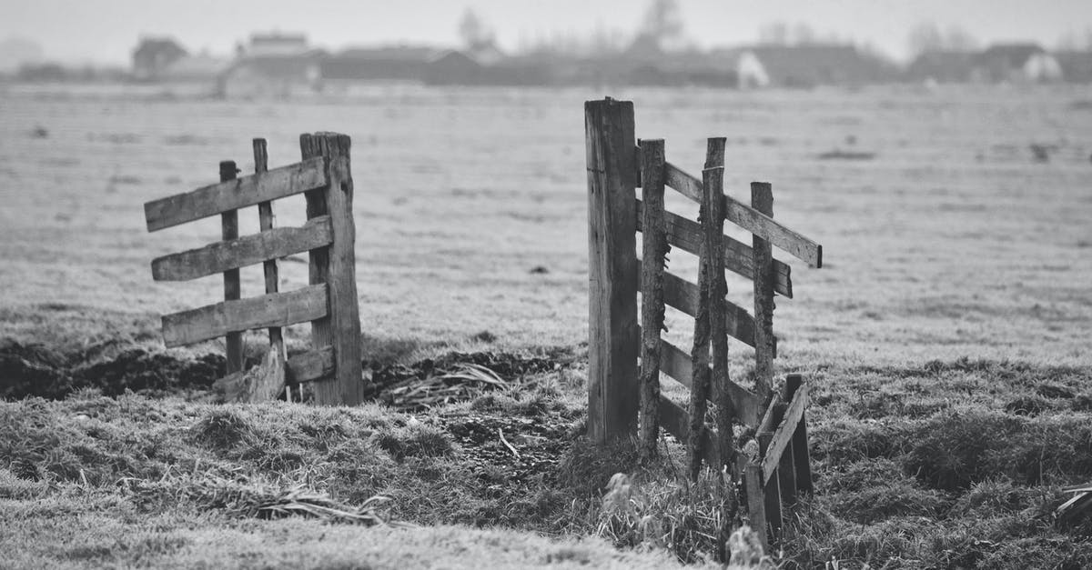 Is the Ultrasonic Fence broken? - Close-up of Wood on Beach Is the Ultrasonic Fence broken? - Close-up of Wood on Beach