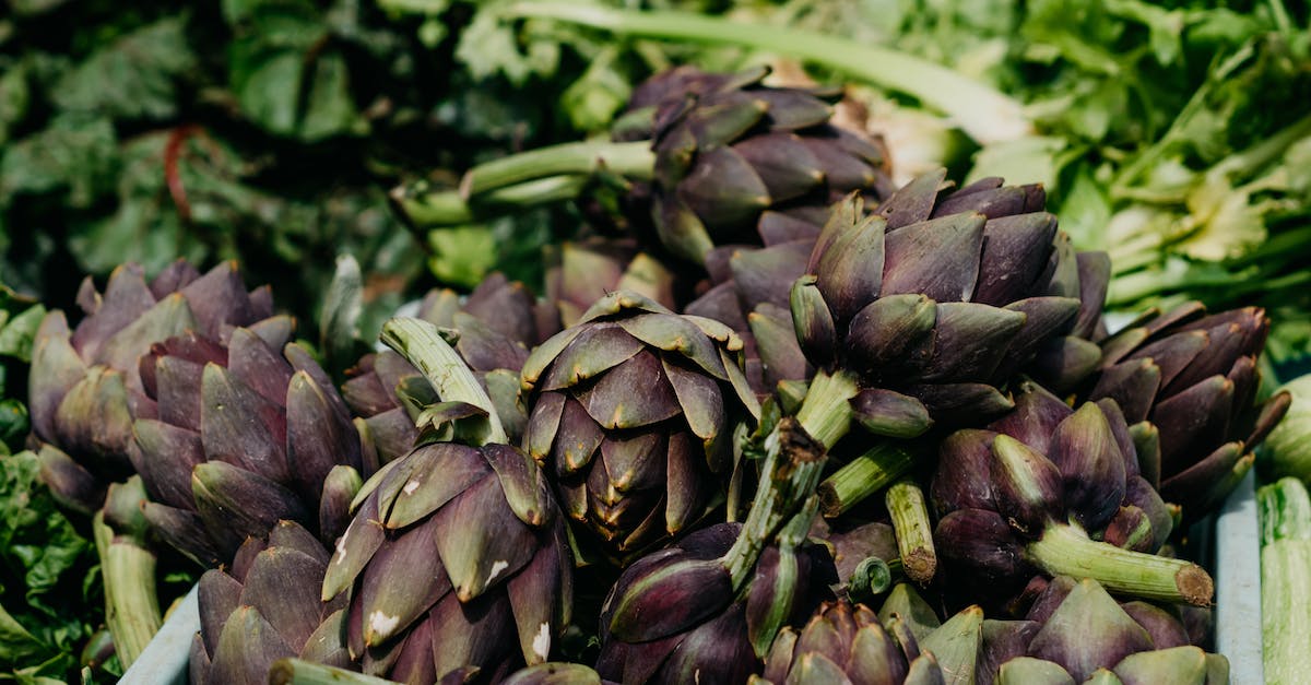 Is the well in the market functional? - Free stock photo of agriculture, artichoke, bunch