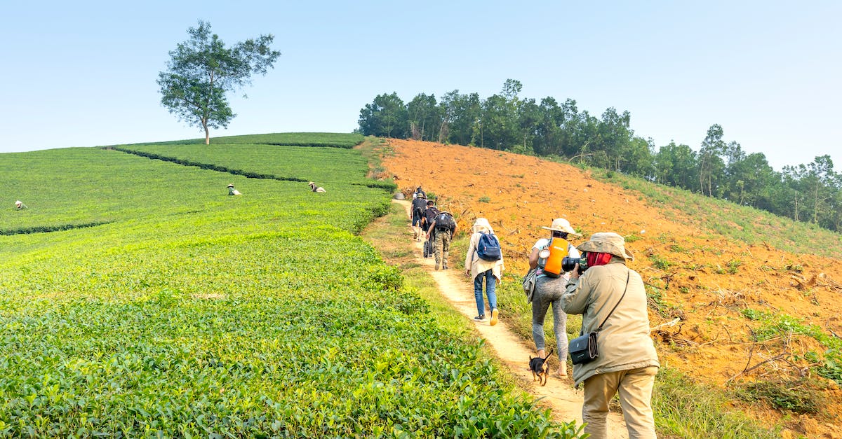 Is there a better way to collect tax? - People walking along tea plantation