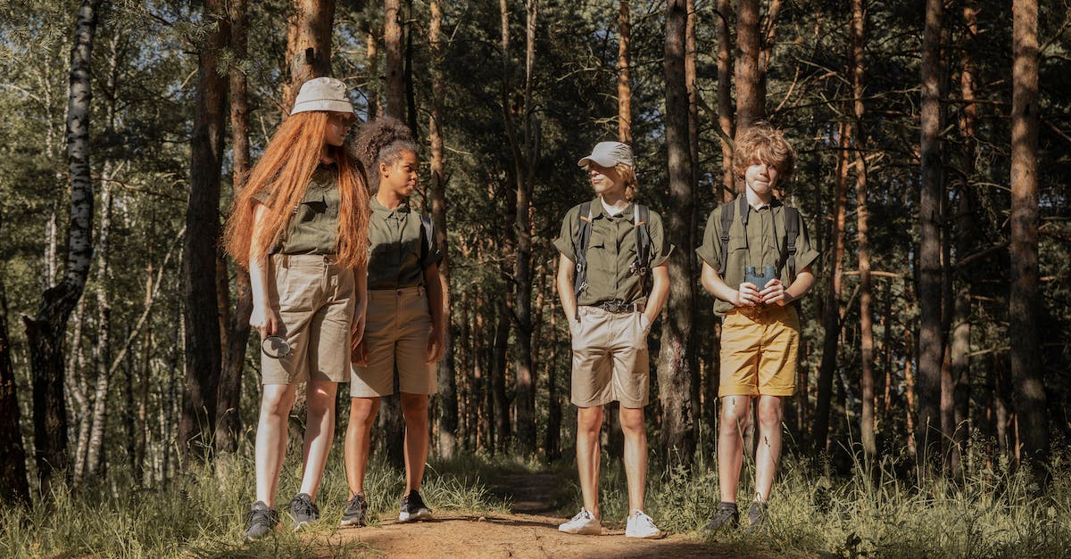 Is there a cap to the amount of dust you can have? - Scouts Standing in Forest Is there a cap to the amount of dust you can have? - Scouts Standing in Forest