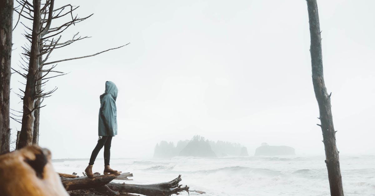 Is there a combat log in Heroes of the Storm? - Full body of unrecognizable female in hood standing on log near leafless trees on wet shore near stormy sea in foggy weather