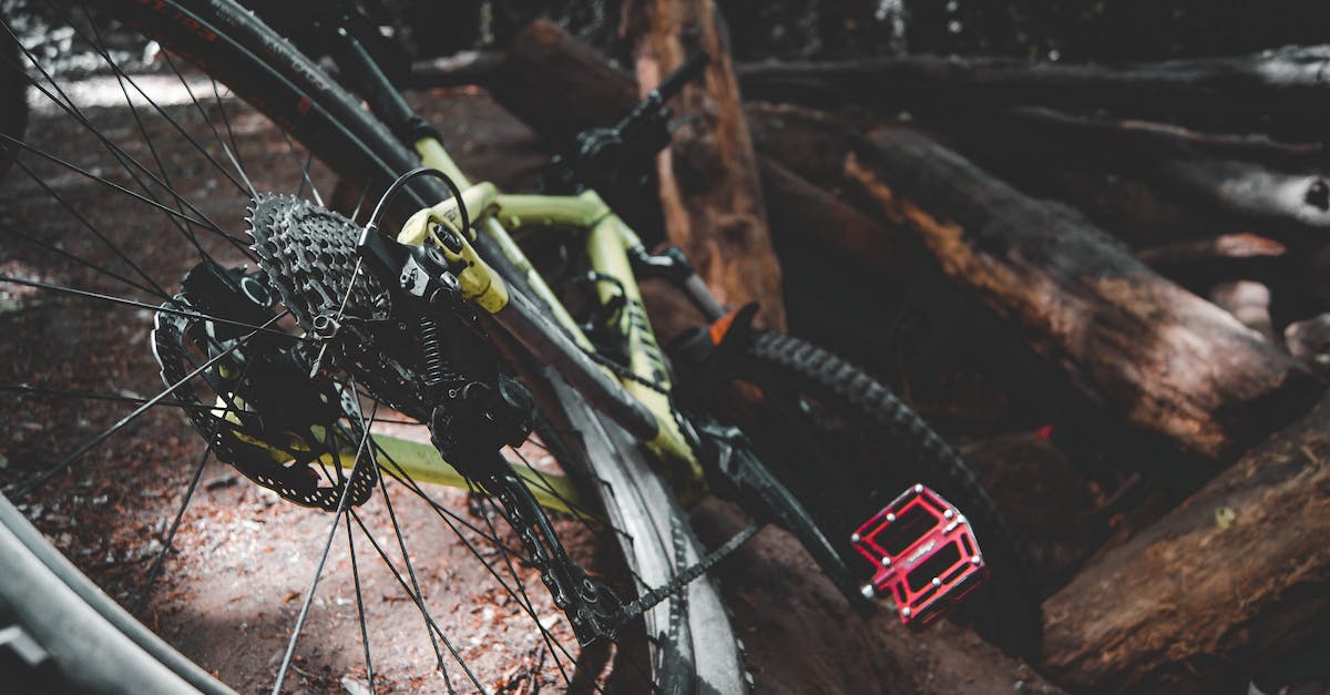 Is there a fast way to return to the ground level on Tiny Tower? - Bicycle placed on trunk trees in forest Is there a fast way to return to the ground level on Tiny Tower? - Bicycle placed on trunk trees in forest