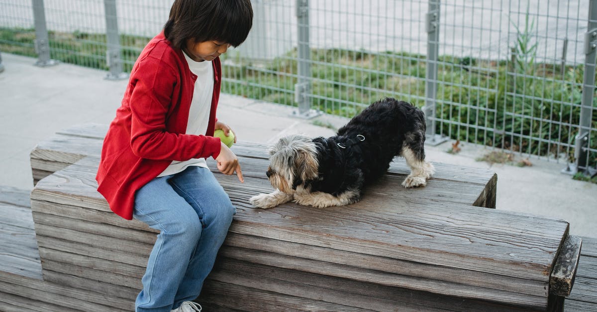 is there a faster way to give points for every one point other than to use hundreds of command blocks? - From above of Asian child pointing with finger at platform while training intelligent dog in town is there a faster way to give points for every one point other than to use hundreds of command blocks? - From above of Asian child pointing with finger at platform while training intelligent dog in town