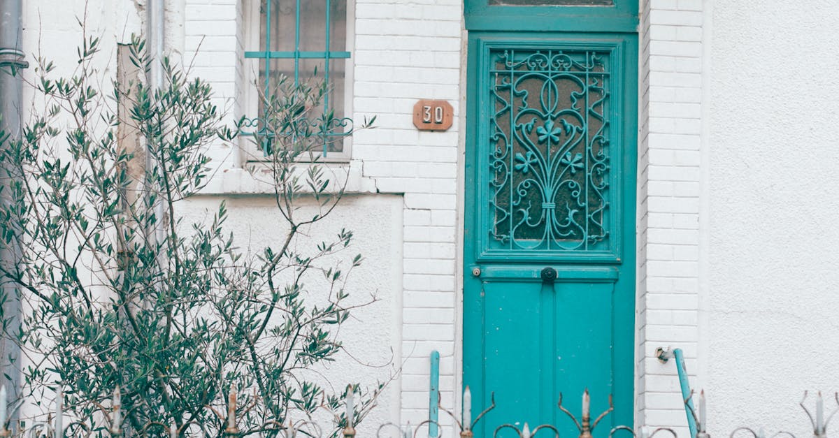 Is there a hard limit to the number of trees able to exist in your town smaller than what is geometrically possible by the rules of tree growth? - Ornamental entrance door of old house in city