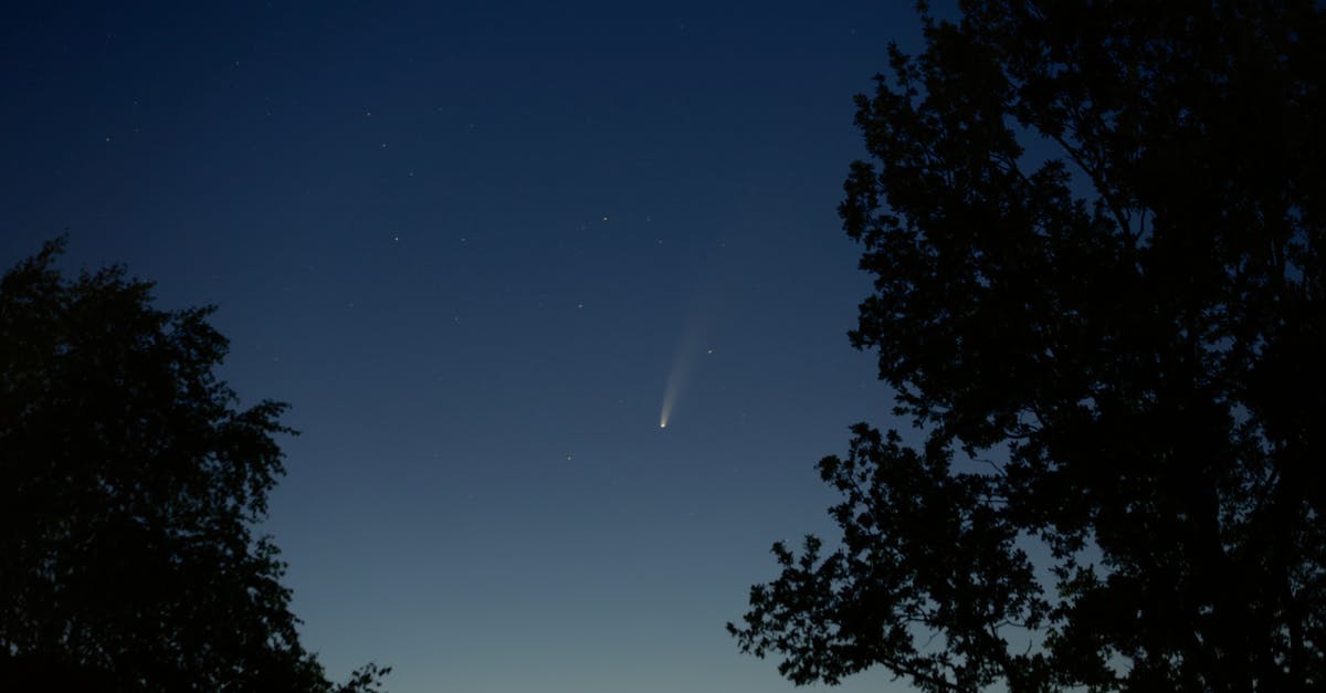 Is there a Meteorite Pickaxe - Silhouette of Trees Under Night Sky