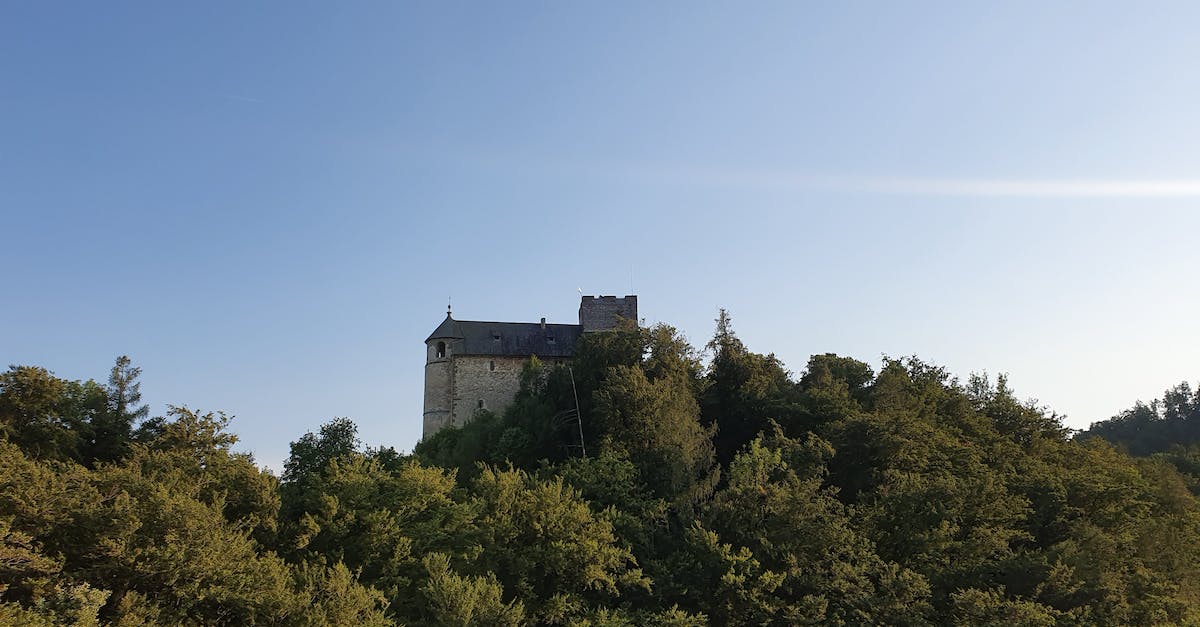 Is there a mod for Dwarf Fortress which makes ux better? - Green Trees Near White Concrete Building