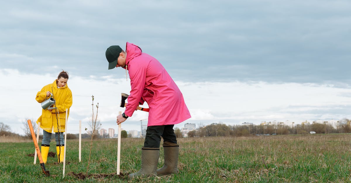 Is there a more efficient method of planting trees? - Volunteers on Tree Planting Is there a more efficient method of planting trees? - Volunteers on Tree Planting