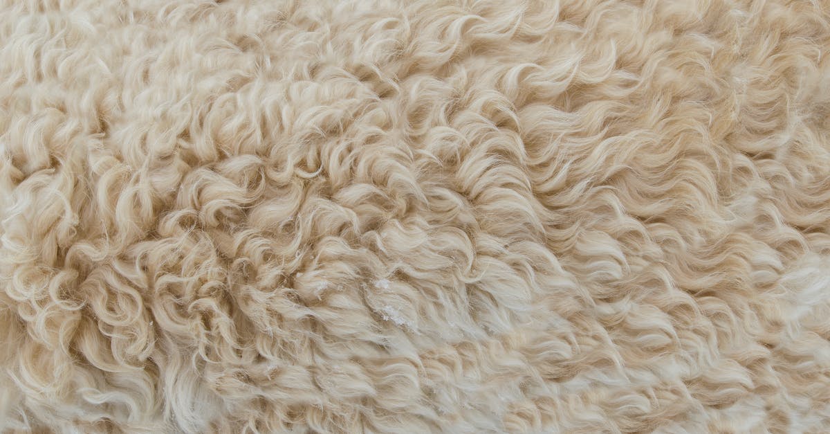 Is there a pattern of removed skin parts that is connected to wearoff percantage? - Beige Fur