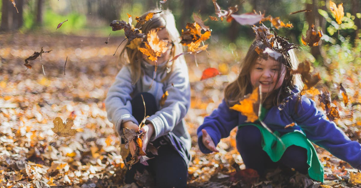 Is there a point playing Diablo III before the season starts? [closed] - Photo of Children Playing With Dry Leaves