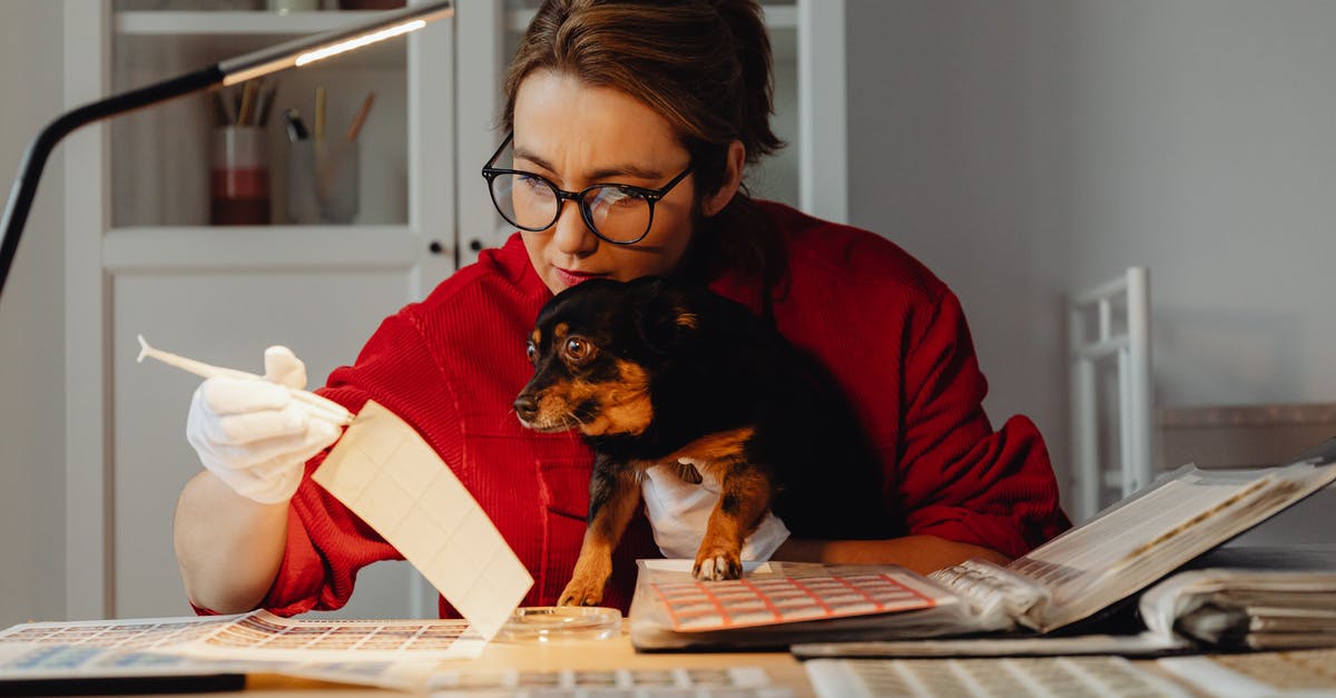 Is there a point to collecting Achievements? - Free stock photo of adult, book bindings, child