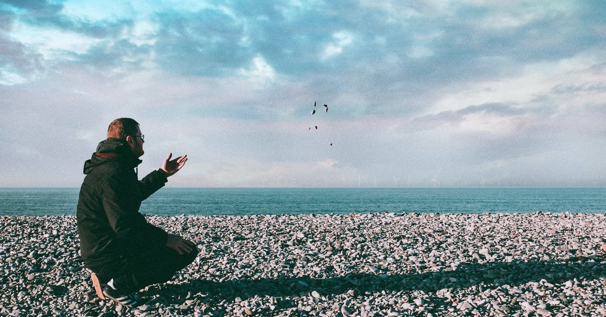 Is there a point to throwing rocks? - Man Throwing Stones Is there a point to throwing rocks? - Man Throwing Stones