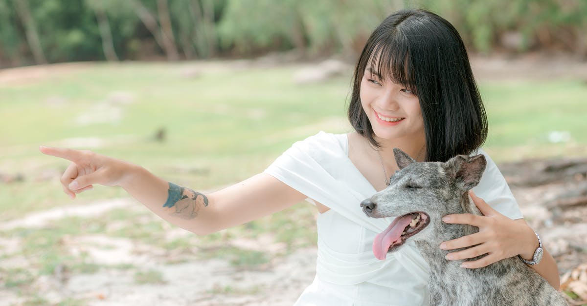Is there a point to try to get companions as soon as possible? - Ethnic woman hugging dog in park in daytime Is there a point to try to get companions as soon as possible? - Ethnic woman hugging dog in park in daytime