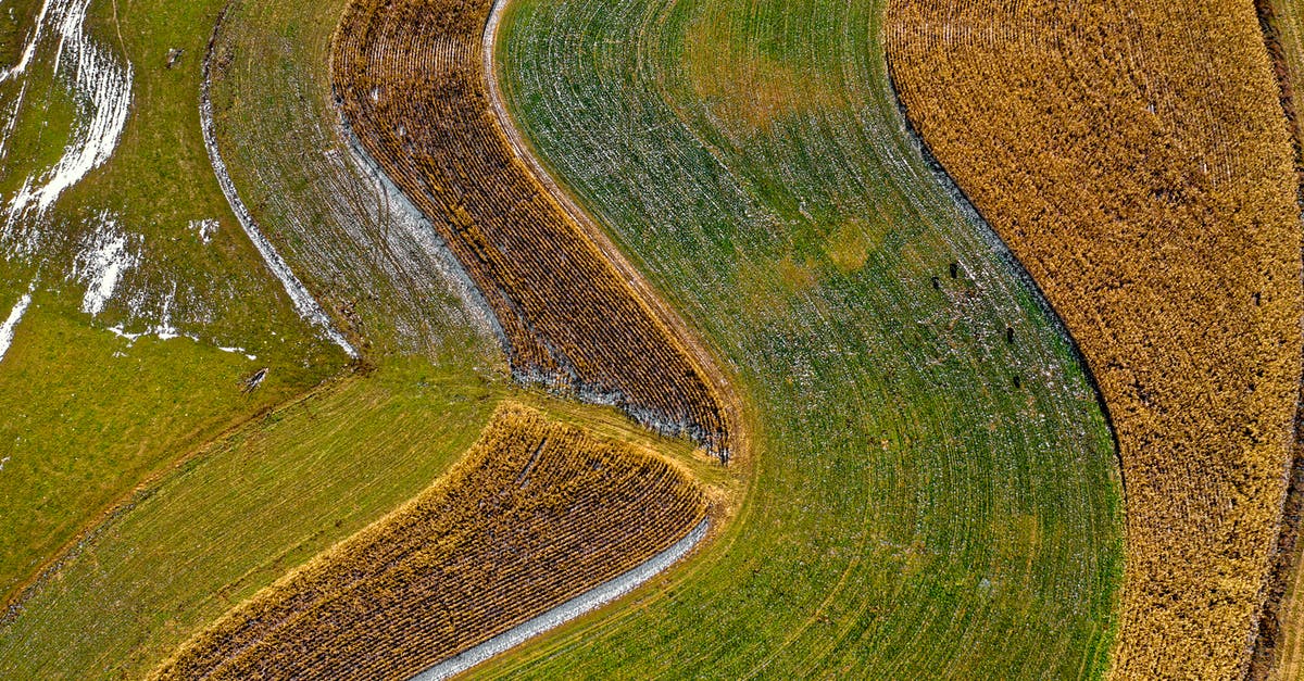 Is there a Pokemon evolution line that fits the Sphinx's riddle? - Green Grass Is there a Pokemon evolution line that fits the Sphinx's riddle? - Green Grass