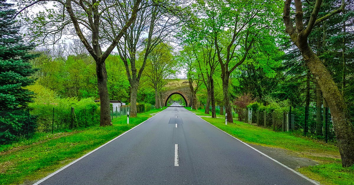 Is there a possible way to get rid of the grass color mapping in a resource pack? - Narrow asphalt roadway with marking lines and arched tunnel far away between colorful trees with thick trunks and green grass in rural zone