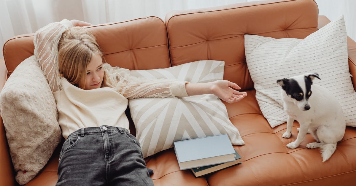 Is there a purpose to the scene where Dog finds a kid in Denerim? - Girl Lying Down and a Dog Sitting on an Orange Leather Sofa with Pillows Is there a purpose to the scene where Dog finds a kid in Denerim? - Girl Lying Down and a Dog Sitting on an Orange Leather Sofa with Pillows