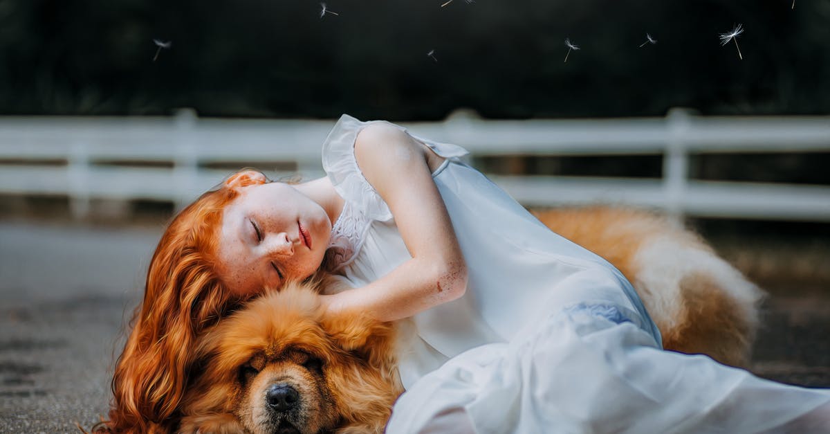 Is there a purpose to the scene where Dog finds a kid in Denerim? - Girl and Dog Sleeping on Gray Pavement Is there a purpose to the scene where Dog finds a kid in Denerim? - Girl and Dog Sleeping on Gray Pavement