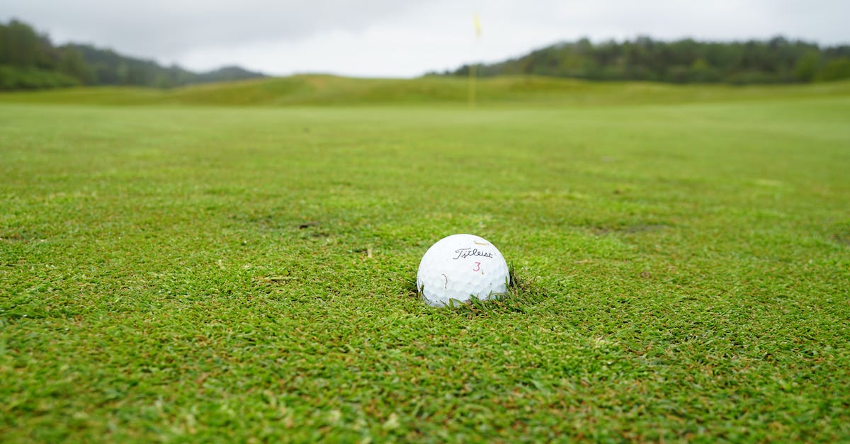 Is there a solution for the NES that will allow me to keep the zapper plugged in and usable while other 2 controllers are plugged in? - White Golf Ball on Green Grass Field Is there a solution for the NES that will allow me to keep the zapper plugged in and usable while other 2 controllers are plugged in? - White Golf Ball on Green Grass Field