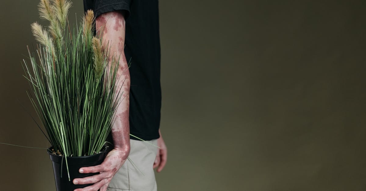 Is there a specific meaning behind the bomb planting code 7355608? - Person in Black Long Sleeve Shirt and White Pants Holding Green Plant