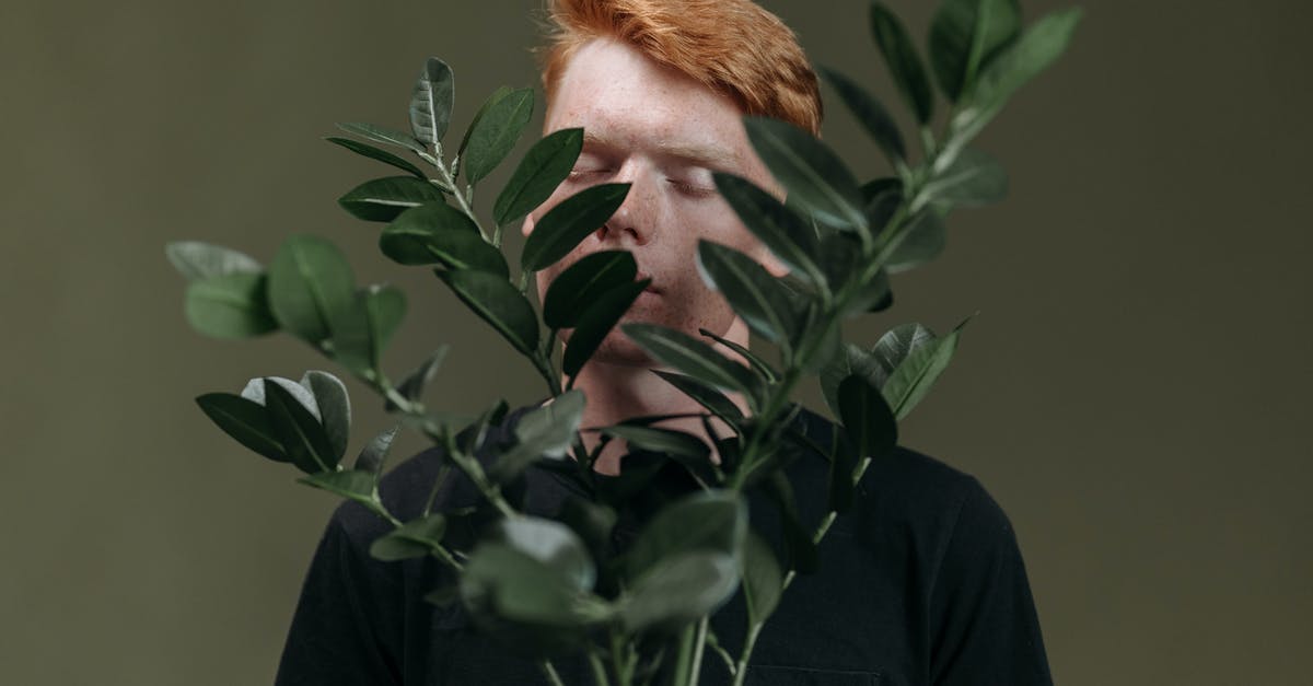 Is there a specific meaning behind the bomb planting code 7355608? - Free stock photo of adult, beauty in nature, behind