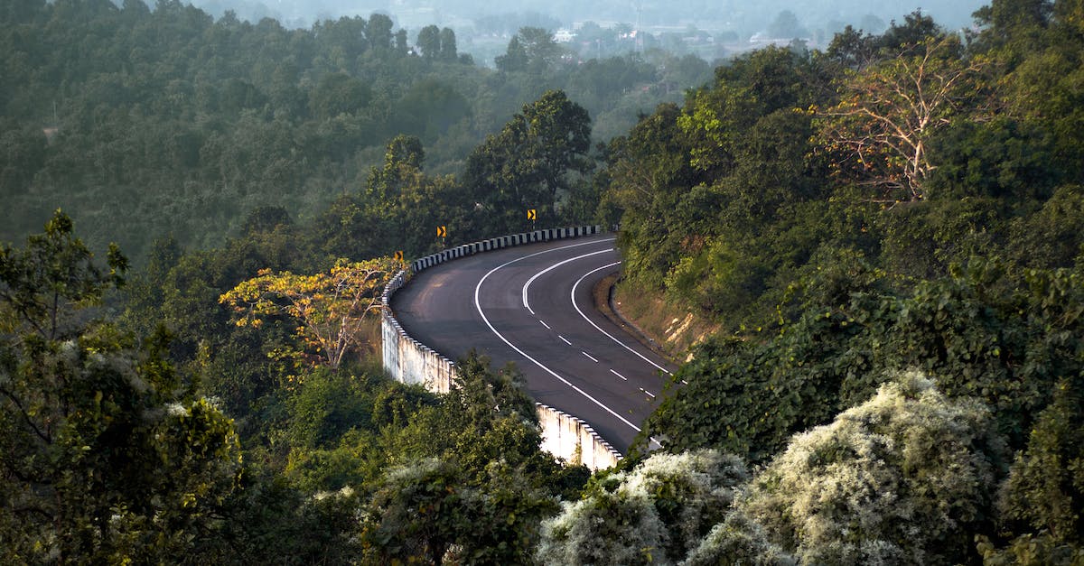 Is there a viable way of completing Ultimate Vault Hunter mode by yourself? - Gray Concrete Road Between Green Trees