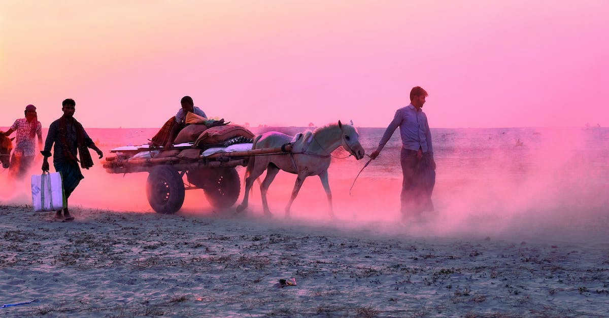 Is there a way of moving unwanted villagers out faster? - Back view of anonymous person in outerwear strolling along street with parked cars and residential cottages in suburb on overcast weather