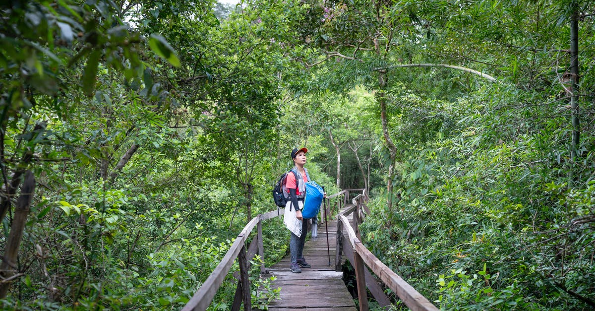Is there a way to deposit caps? - Traveler standing on wooden footbridge