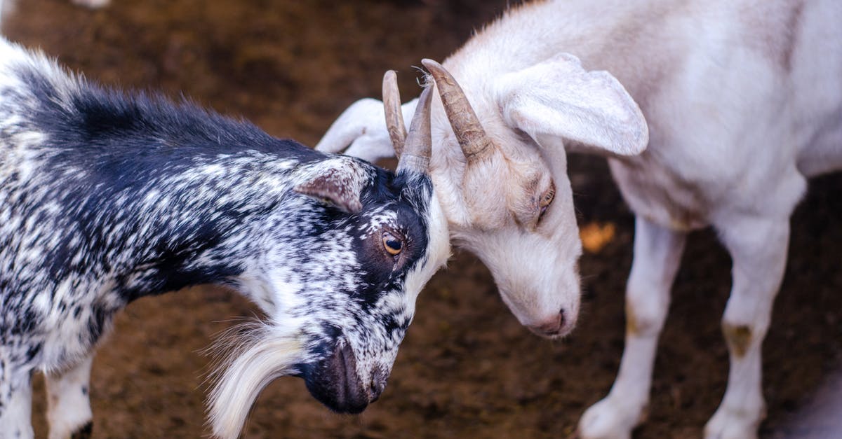 Is there a way to fight only the boss in a mission? - Coats Locking Horns Is there a way to fight only the boss in a mission? - Coats Locking Horns
