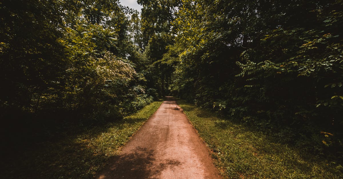 Is there a way to get additional Morty Manipulator Chips before leaving the Citadel? - Empty long pathway going through green high trees in park in summer day