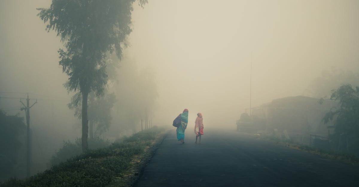 Is there a way to improve the poor framerate/performance? - Back view of unrecognizable Indian women in traditional clothes walking on empty road near tall trees against foggy sky Is there a way to improve the poor framerate/performance? - Back view of unrecognizable Indian women in traditional clothes walking on empty road near tall trees against foggy sky