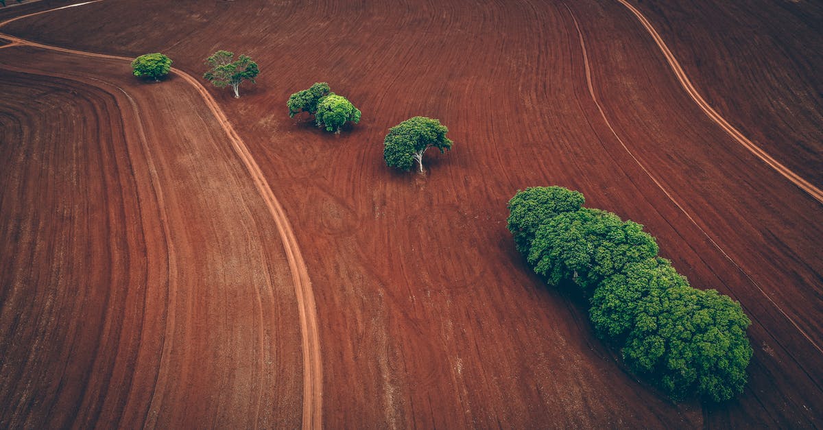 Is there a way to increase the chance of a rare Pokemon at a certain location? - From above of agricultural field with brown ground and rare trees at daytime
