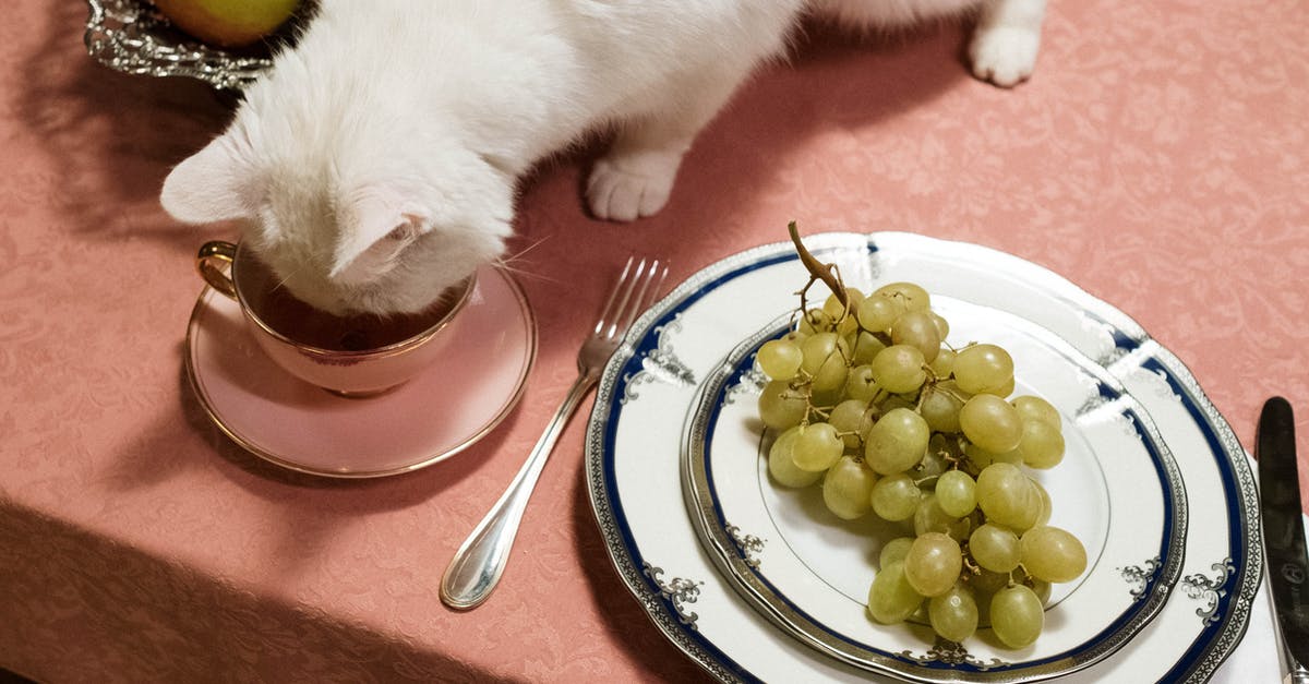 Is there a way to knife someone in BF4 without the animation? - White Cat Drinking in a Cup Is there a way to knife someone in BF4 without the animation? - White Cat Drinking in a Cup