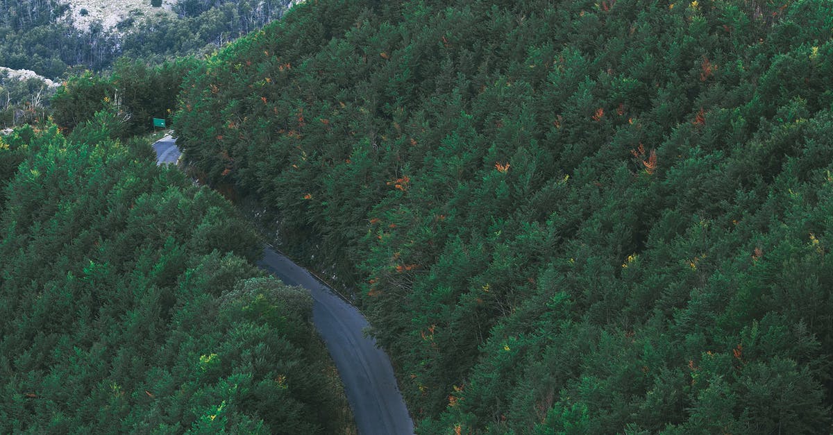 Is there a way to pause Stardew Valley in multiplayer? - Narrow roadway among lush green trees growing in mountainous valley Is there a way to pause Stardew Valley in multiplayer? - Narrow roadway among lush green trees growing in mountainous valley