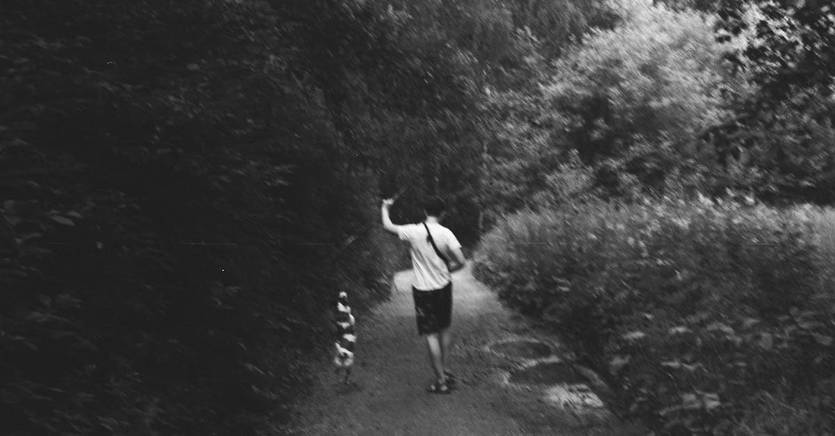 Is there a way to play KSP without having studied rocket science? - Anonymous man with dog walking in forest amidst lush vegetation Is there a way to play KSP without having studied rocket science? - Anonymous man with dog walking in forest amidst lush vegetation