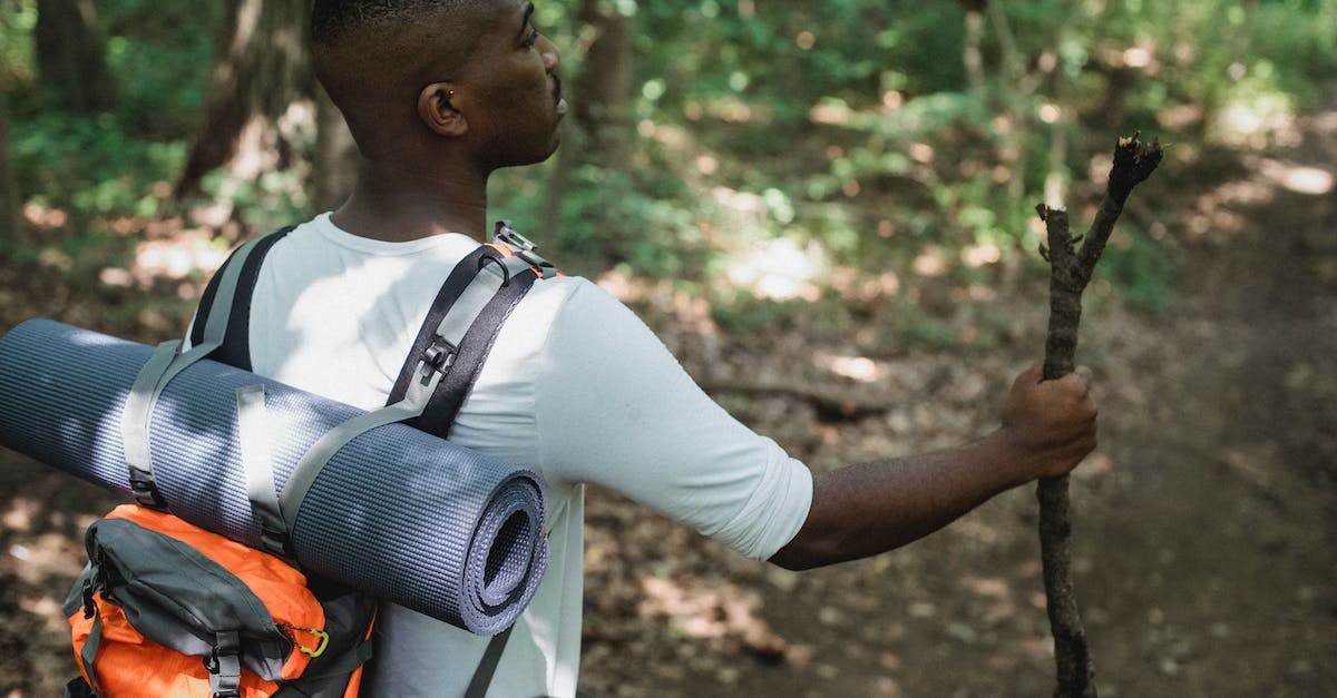 Is there a way to "stick" blocks? - Side view of African American hiker standing with wooden stick on path in forest in daytime Is there a way to "stick" blocks? - Side view of African American hiker standing with wooden stick on path in forest in daytime