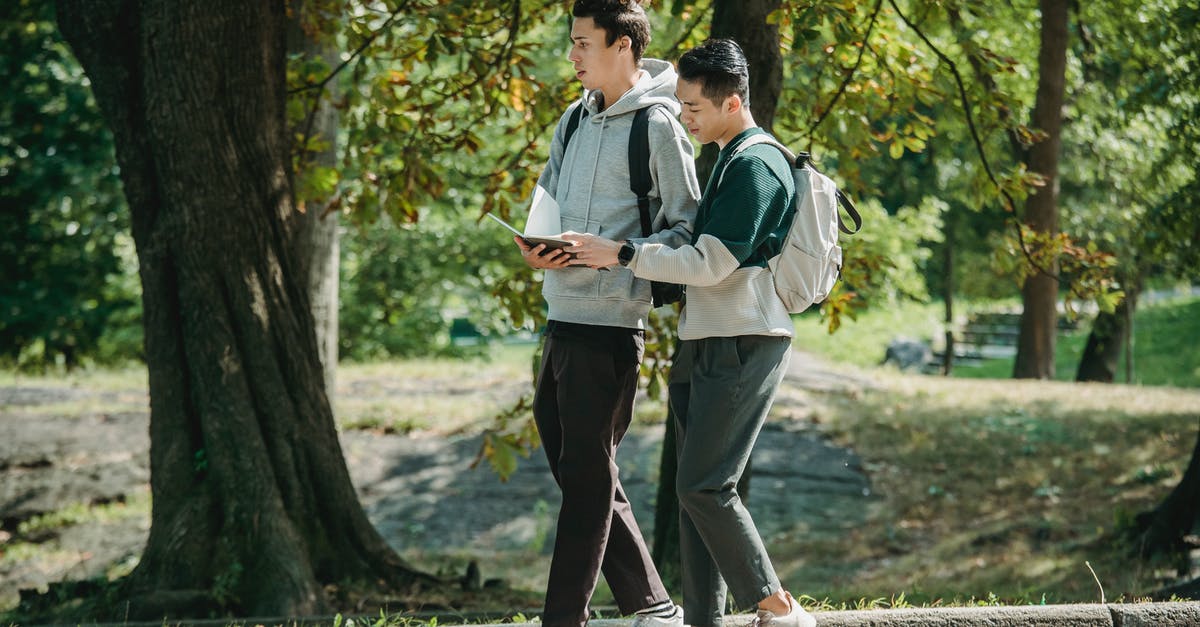 Is there a way to read .meta files from Dota 2 replays? - Side view of young stylish diverse male friends in casual outfits and backpacks walking together in path in park and preparing for exam