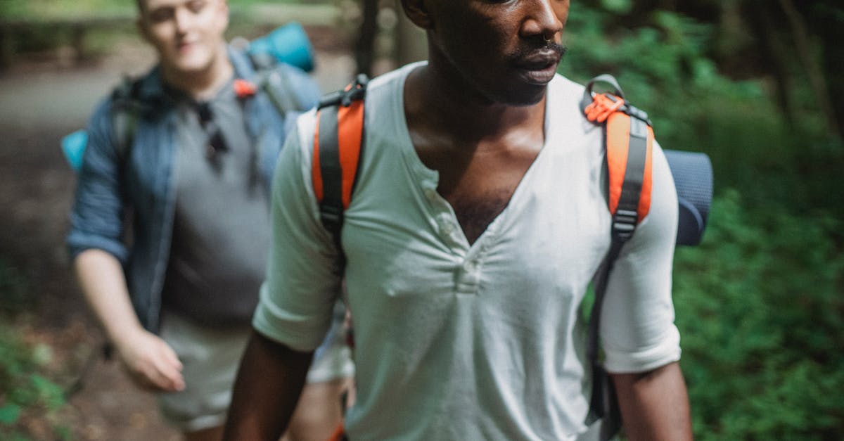 Is there a way to rename a discovery after you upload it? - Serious diverse friends hiking in woodland